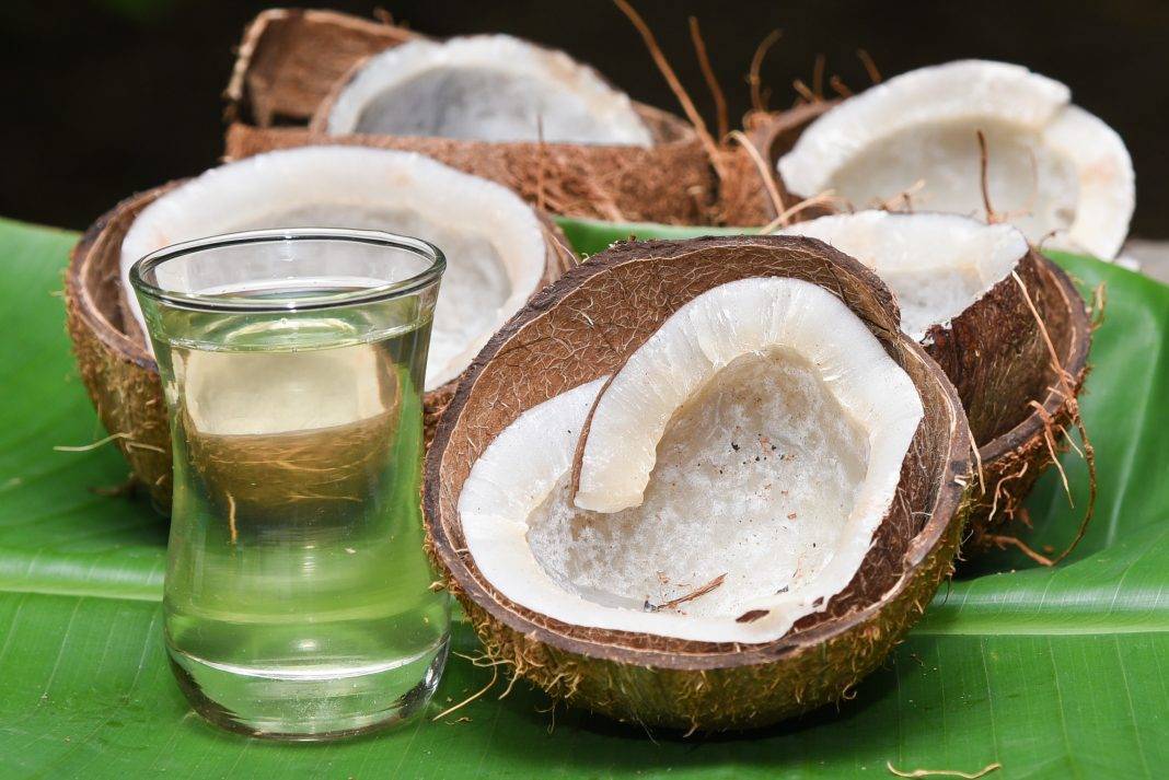 Мякоть кокоса: польза и вред для организма мужчин, женщин, применение