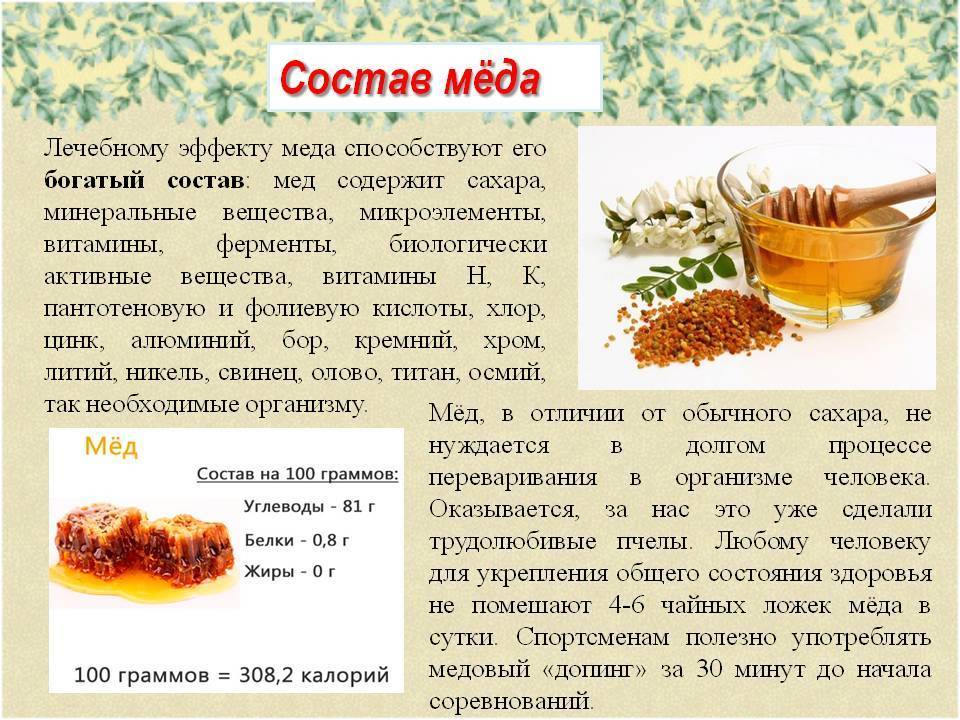 Сосновый мед: польза, вред, рецепты, применение
