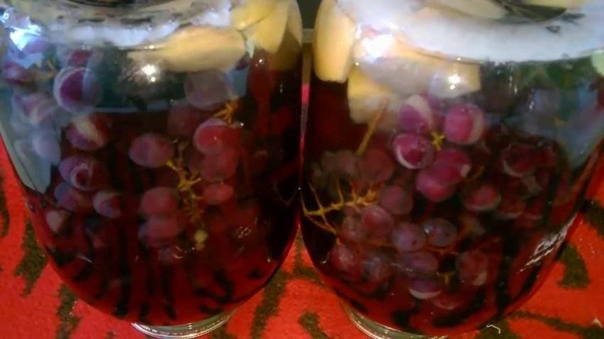 Компот из винограда изабелла на зиму - 5 простых рецептов в 3-х литровой банке с пошаговыми фото