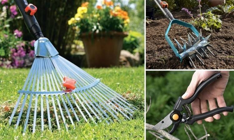 Садовый инструмент: необходимый инвентарь для сада и огорода