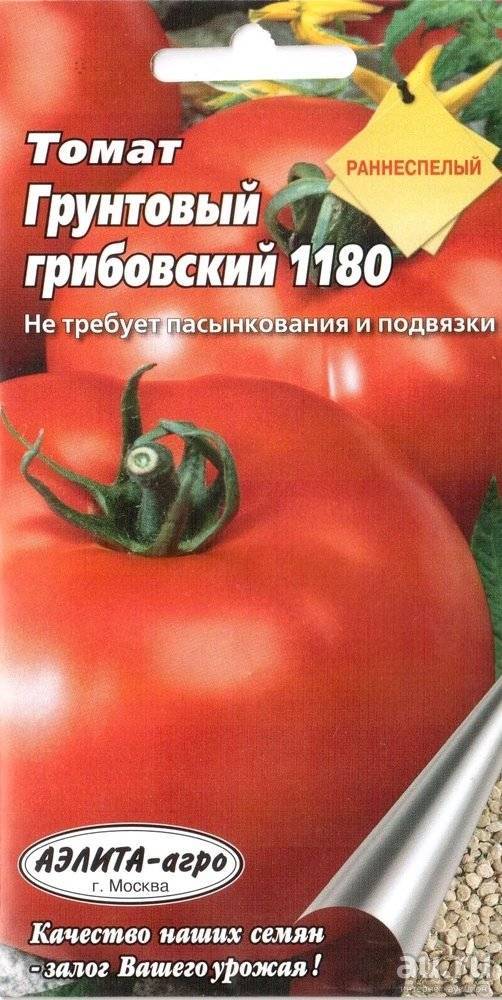 Описание сибирского раннеспелого томата Грунтовый грибовский и правила выращивания сорта