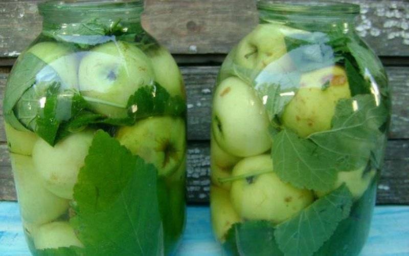 Моченые яблоки на зиму в домашних условиях: простые и вкусные рецепты
