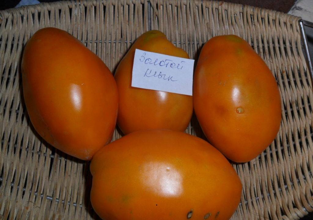 Томат пасхальное яйцо: описание сорта, отзывы, урожайность