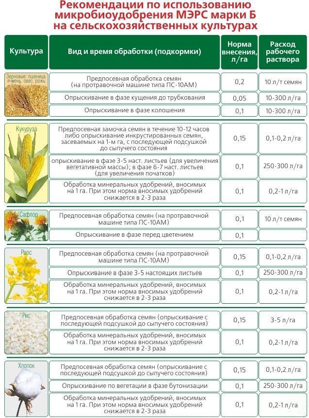 Каким овощным культурам какое минеральное