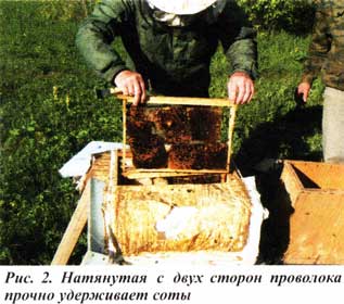 Переселение пчелиной семьи