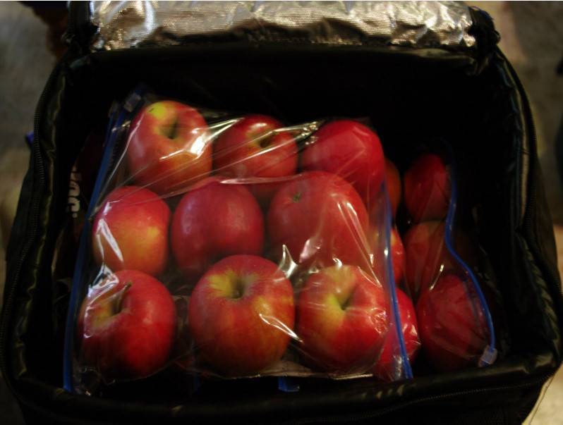Как сохранить яблоки в домашних условиях на зиму