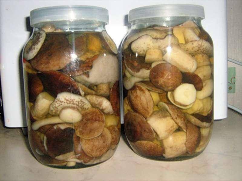 Засолка грибов на зиму горячим и холодным способом: рецепты с фото и видео