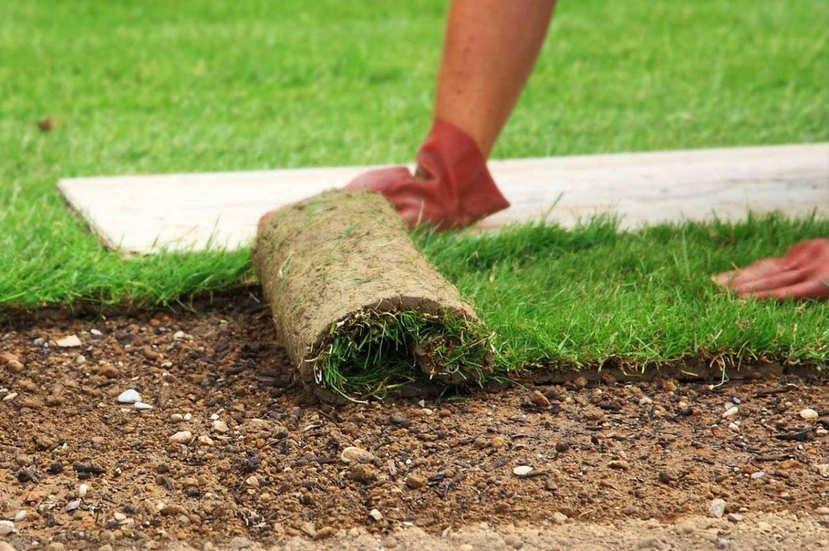 Как правильно уложить искусственный газон во дворе дома на даче: рекомендации