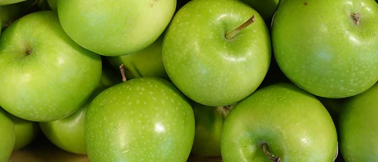 Яблоки гренни смит: калорийность и где выращивают, описание сорта и его польза, фото selo.guru — интернет портал о сельском хозяйстве
