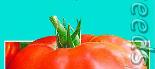 Семена томат зазимок f1: описание сорта, фото. купить с доставкой или почтой россии.