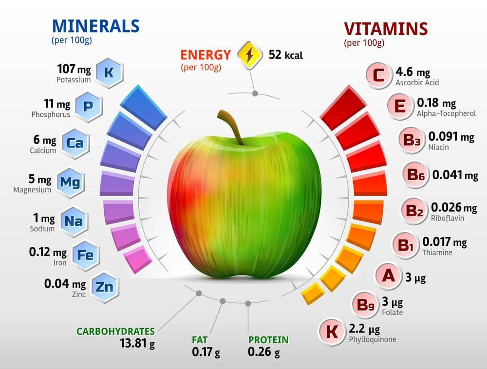 Полезные свойства яблок: польза яблок, витамины в яблоках