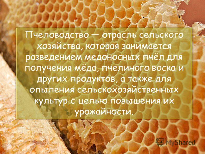 1.3. история пчеловодства и ключевые изобретения - bee-keeper.ru