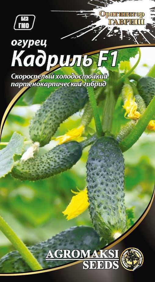 Огурцы кадриль f1: отзывы и фотографии, характеристики сорта, посев и посадка, уход и урожайность