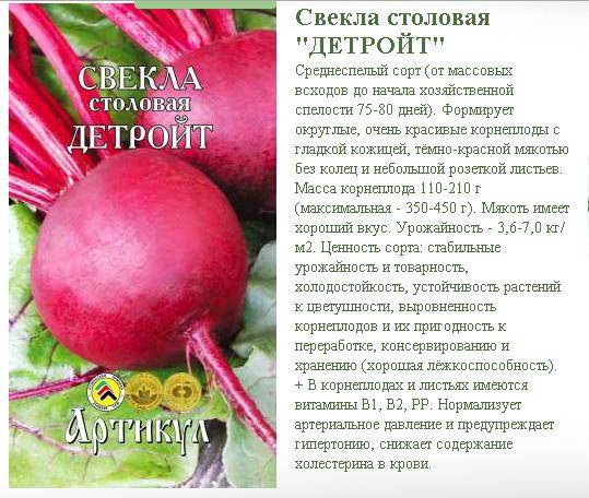 Чеснок алексеевский гигант: описание озимого сорта, фото, отзывы