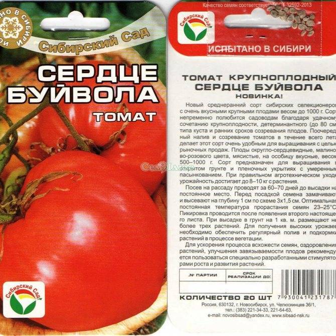 Индетерминантные и детерминантные сорта томатов: в чем отличие | садоводство и огородничество