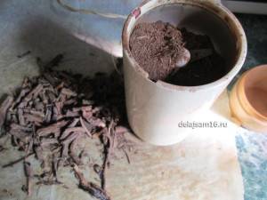 Цикорий как собирать и сушить корень и цветы в домашних условиях с фото