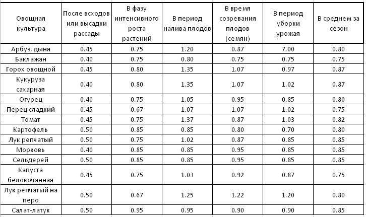 Как часто поливать лук и чеснок в открытом грунте? :: syl.ru