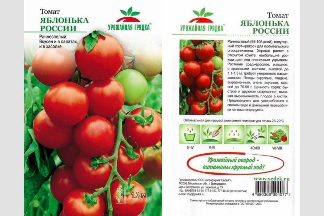 Характеристика и описание томата сорта «спрут f1»: выращивание в открытом грунте