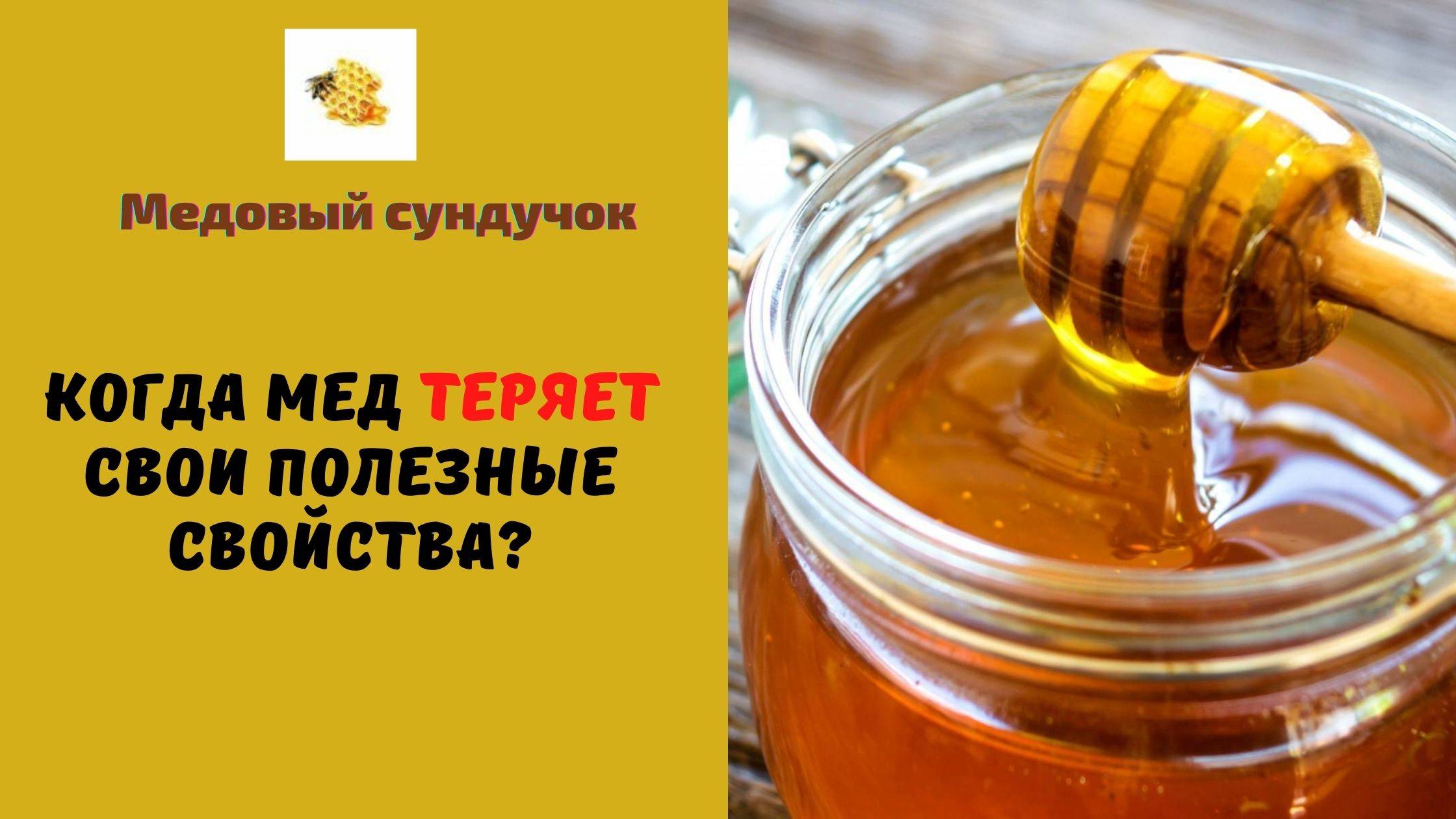 Как правильно хранить мед, и почему «аптечка в банке» не любит жару и солнце