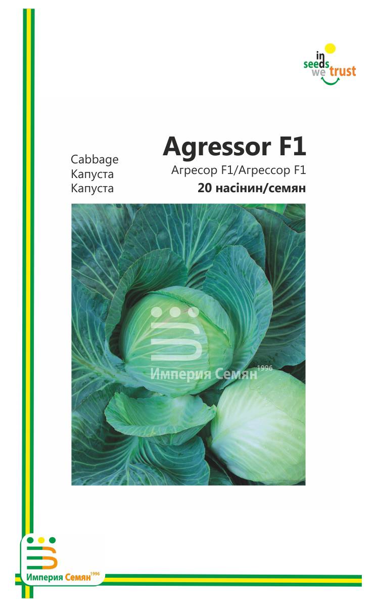 Описание сорта капусты центурион f1 и агротехника выращивания. описание сорта капусты центурион f1, особенности выращивания и ухода