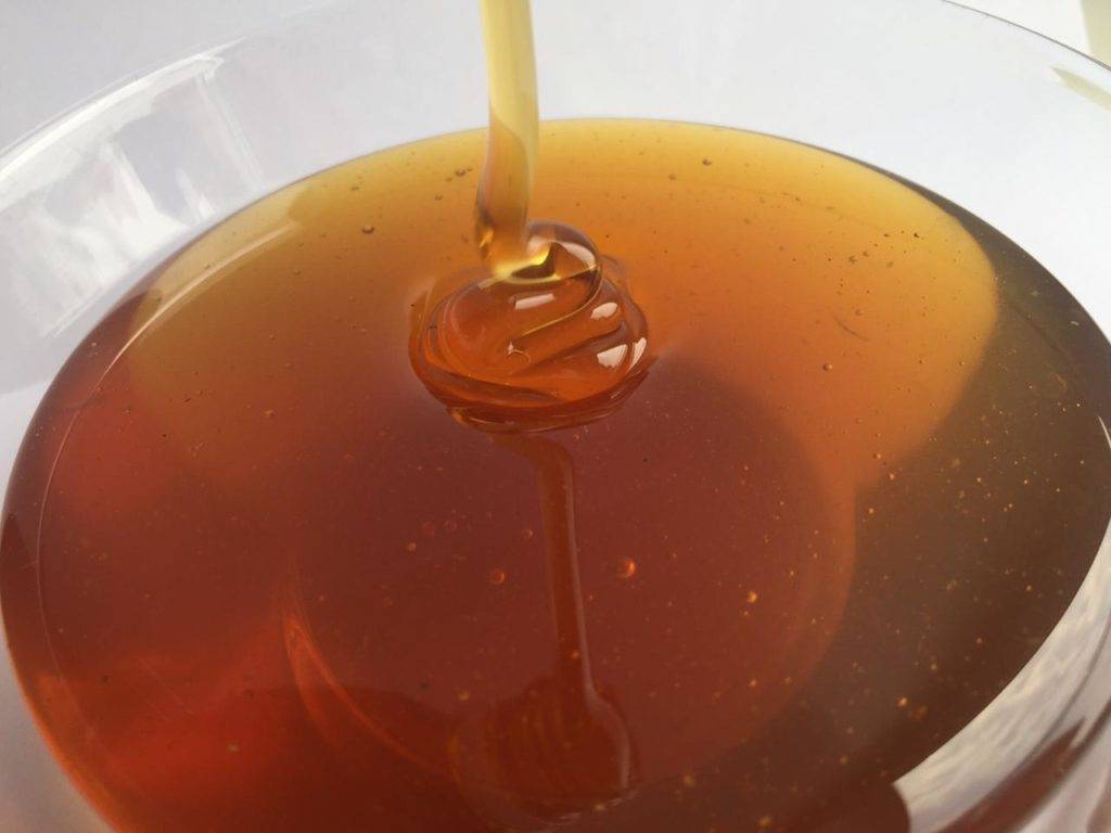 Все о дягилевом мёде - вкус, цвет, свойства и консистенция