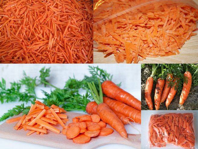 Как заморозить морковь на зиму: топ 10 рецептов в домашних условиях, можно ли