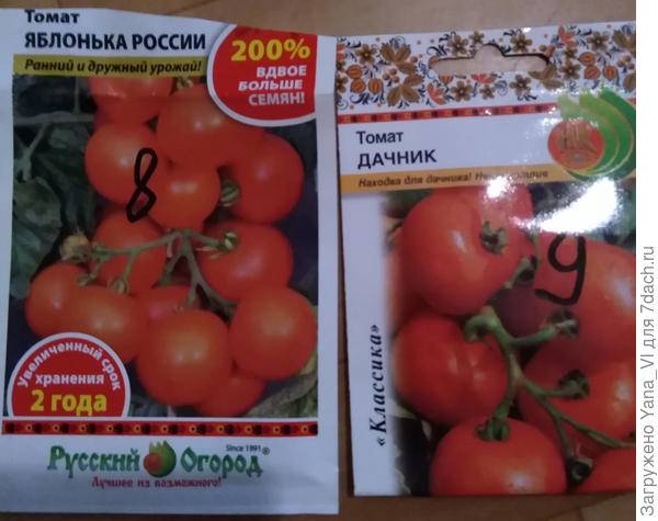 Томат зинуля: характеристика и описание раннеспелого сорта с фото
