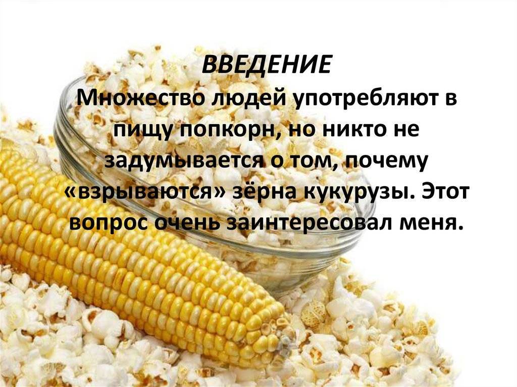 Бобовые продукты: польза и вред