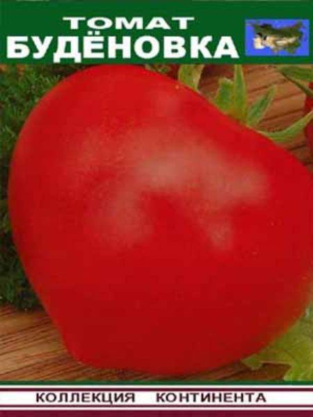 Неприхотливый сорт с устойчивостью к любым капризам природы — томат солоха: описание помидоров и их характеристики
