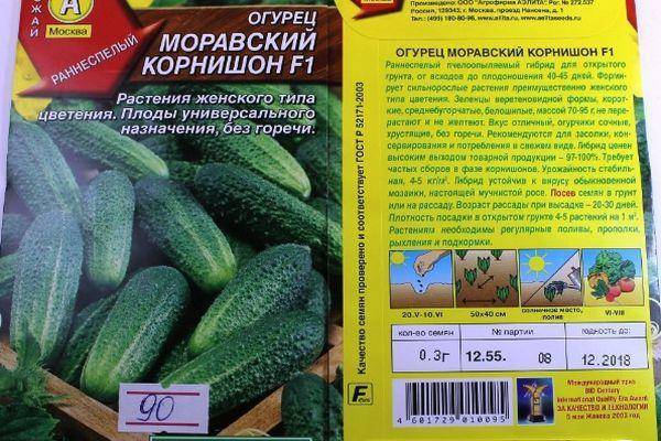 Лучшие сорта гибридных огурцов корнишонов суперпучкового типа