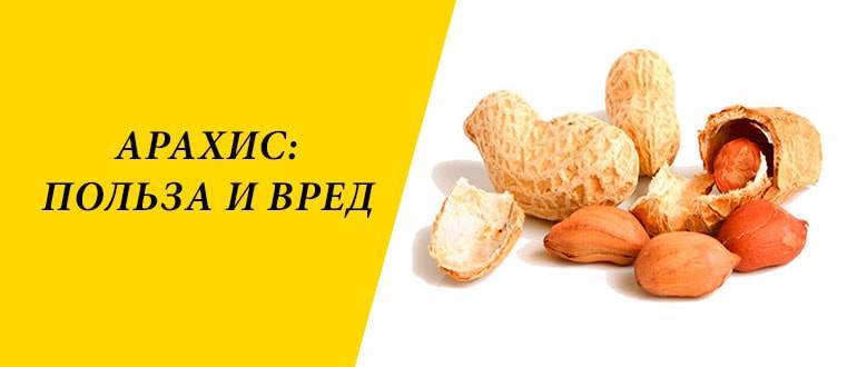 Польза и вред арахиса - портал обучения и саморазвития