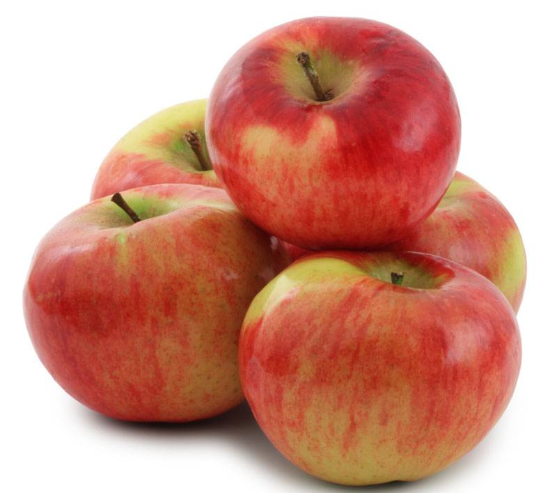 Яблоки сорта кортланд: описание