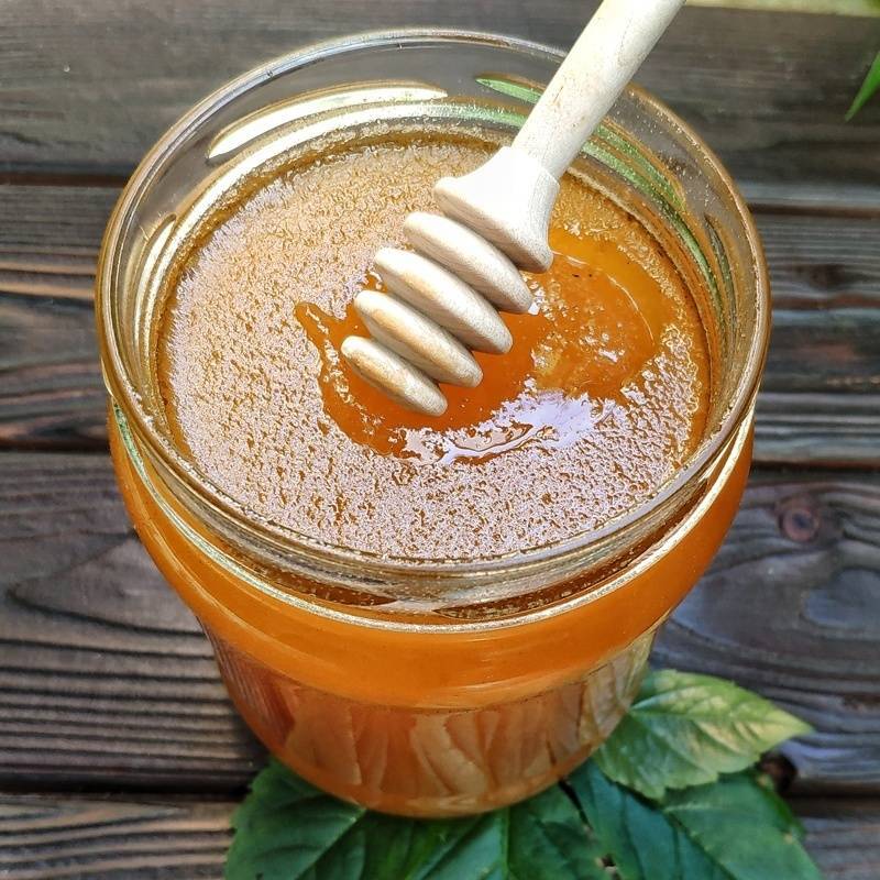 Мёд из расторопши — описание. полезные свойства. рецепты. состав
