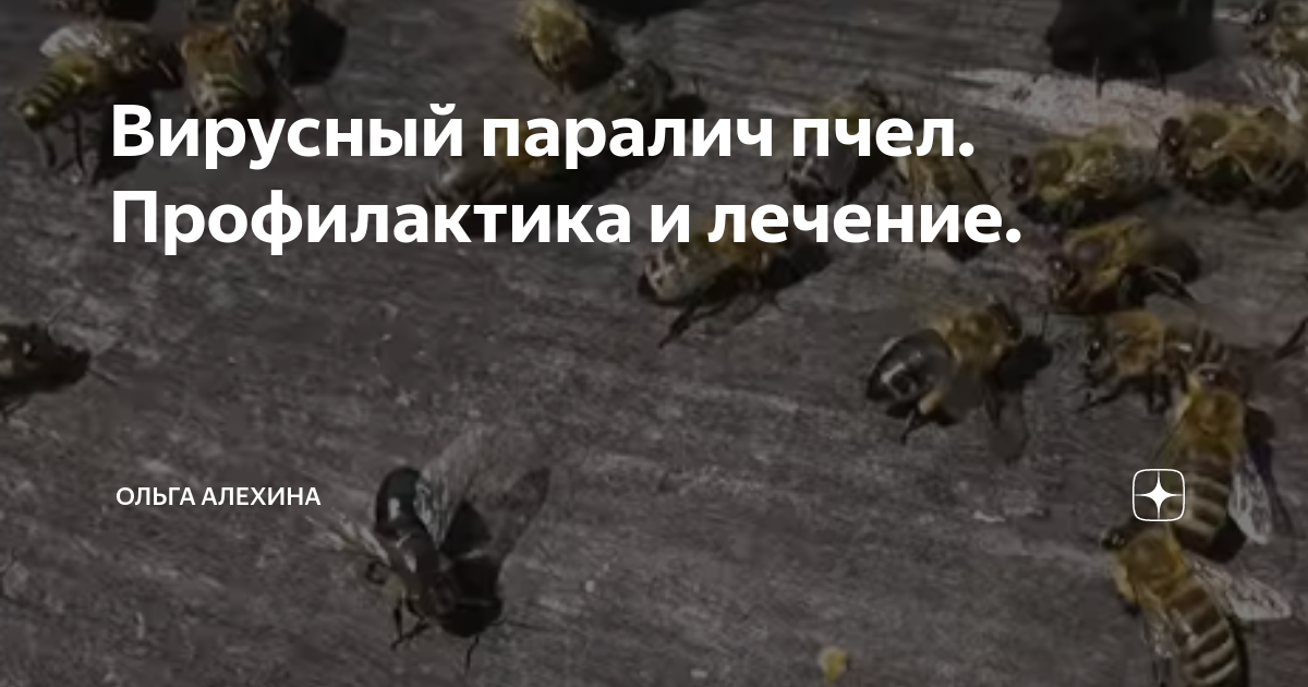 Паралич пчёл. методы лечния