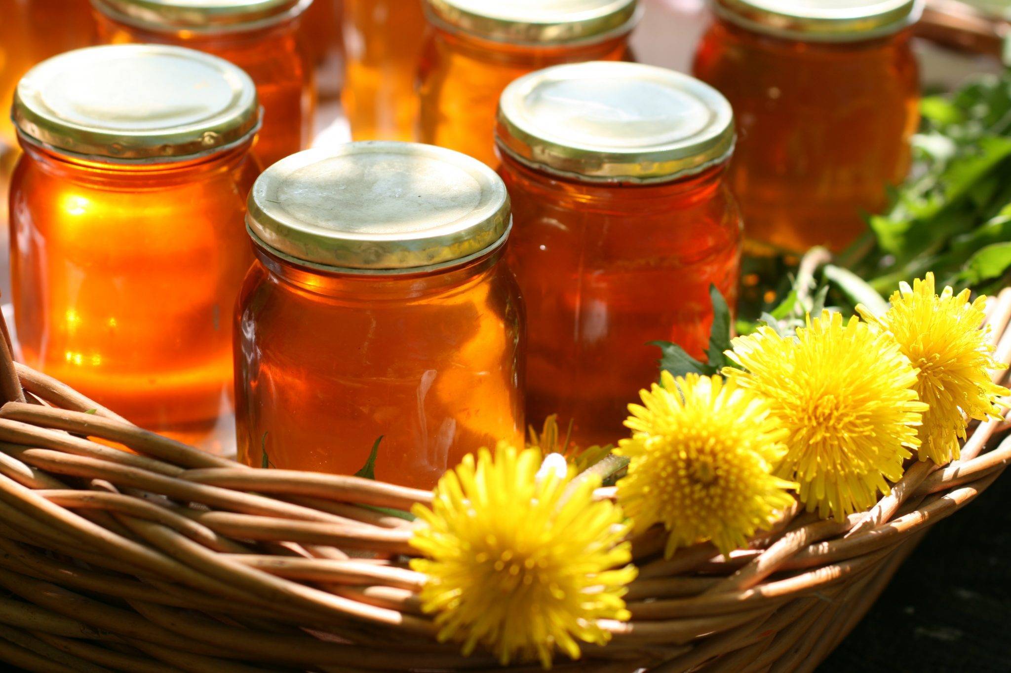 Мед из одуванчиков в домашних условиях: рецепты приготовления, польза, как принимать