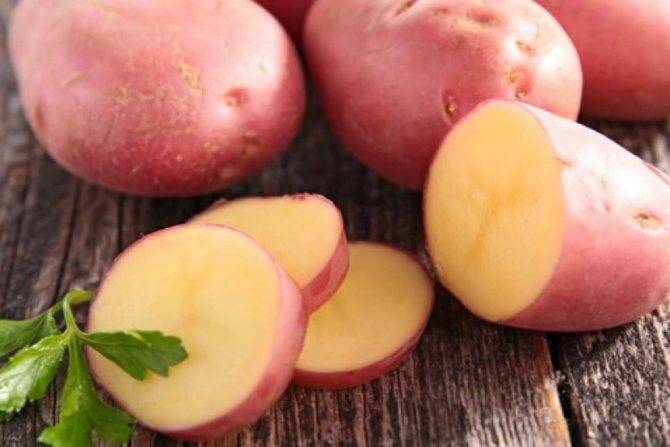 Картофель "ароза": описание сорта, фото, отзывы