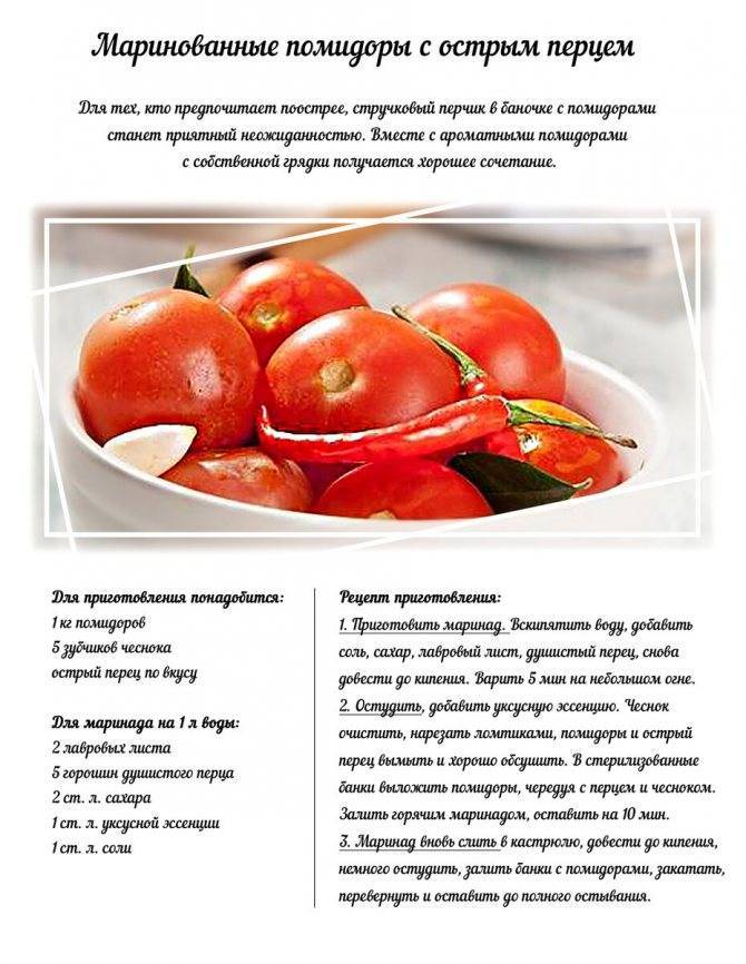 Маринованные помидоры на зиму — 14 ну очень вкусных рецептов в банках