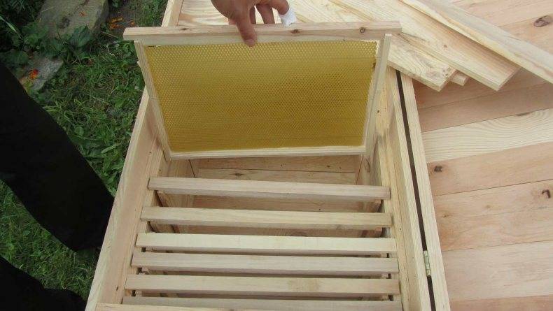 Пчелиный домик: сделать своими руками