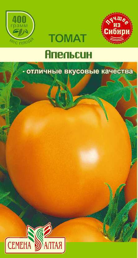 Помидоры апельсин: характеристика и описание сорта, урожайность, выращивание и уход в открытом грунте, фото - ваш дачный участок