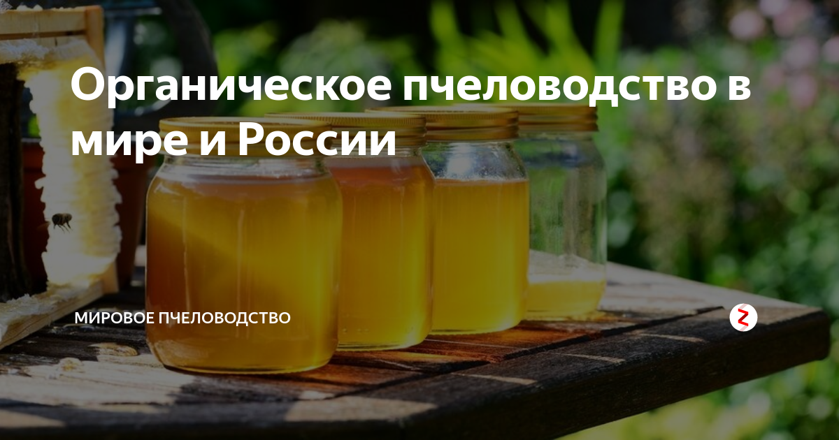 Украина на пути к органическому пчеловодству