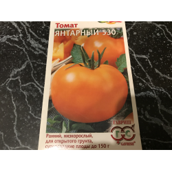 Томат янтарный 530: фото, отзывы, урожайность