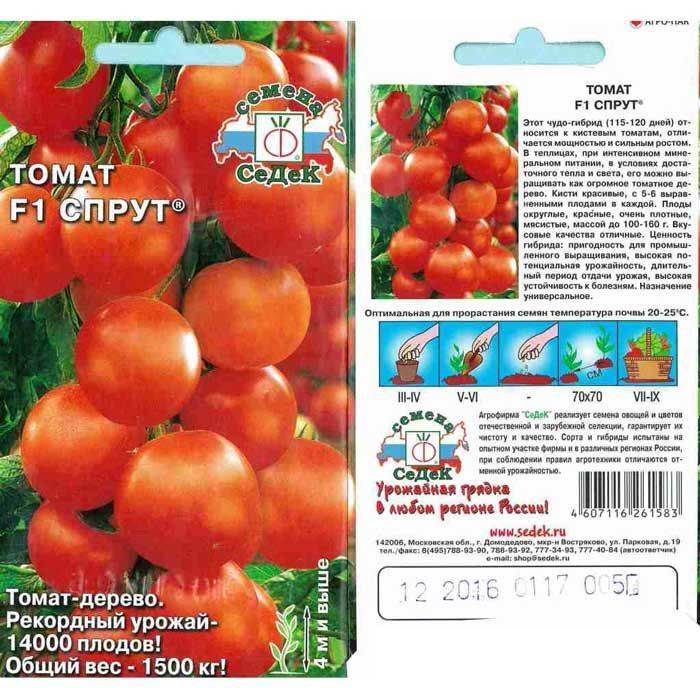 Семена томаты спрут семена россии ру