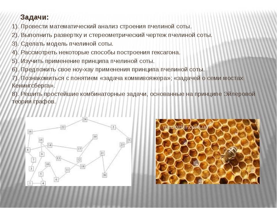 Пчелиные соты - изготовление, состав, польза