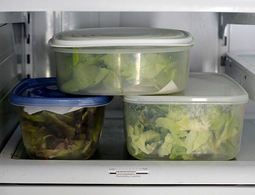 Как дольше сохранять укроп свежим в холодильнике и морозилке