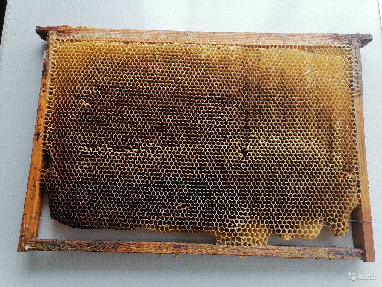 Значения суши для пчел в пчеловодстве. для чего нужна в пчеловодстве суша
