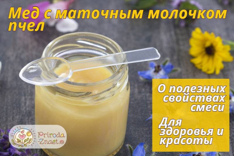 Мед с маточным молочком: что это, как делается и как принимать, вкус и цвет, полезные свойства и противопоказания, как отличить подделку