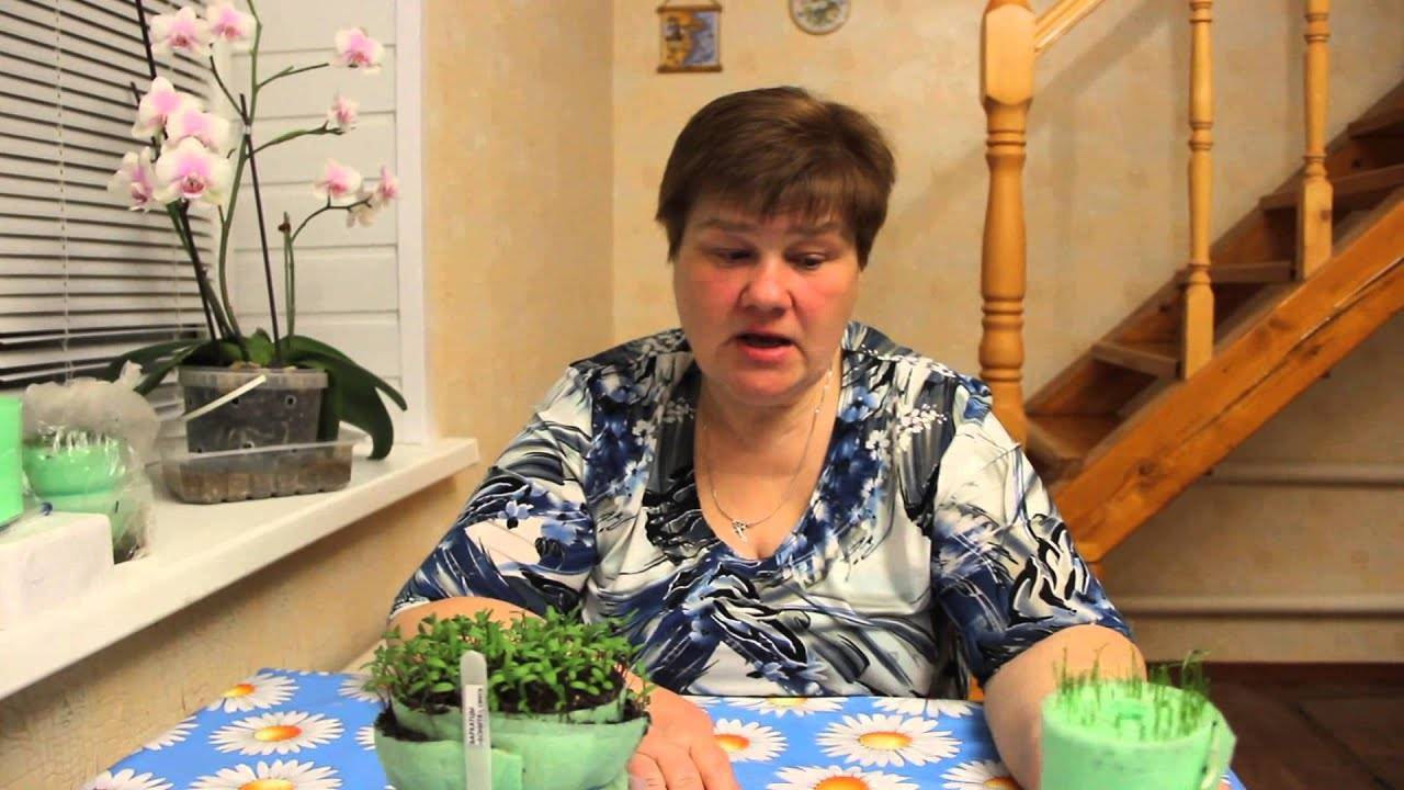 Особенности выращивание помидор в улитке юлии миняевой