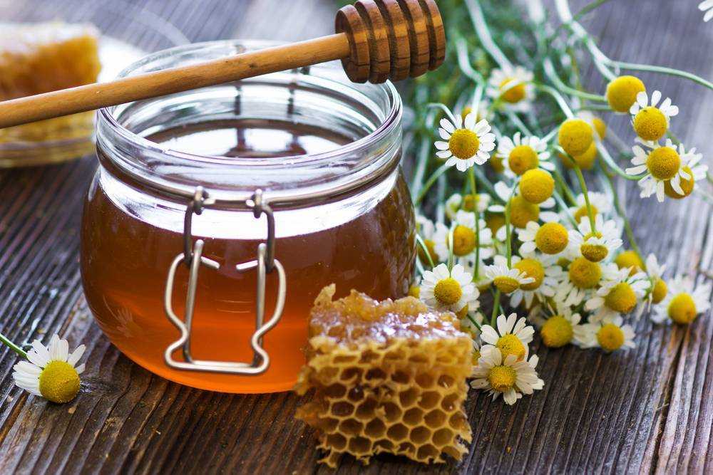Вересковый мед: полезные свойства, противопоказания