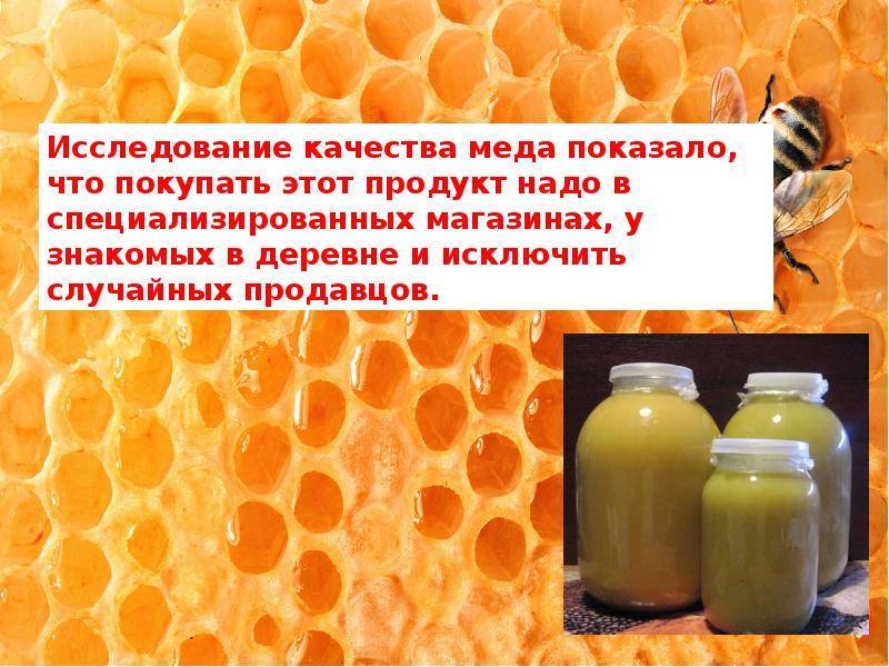 Рейтинг самого лучшего меда в россии 2021 года — какой выбрать в магазине