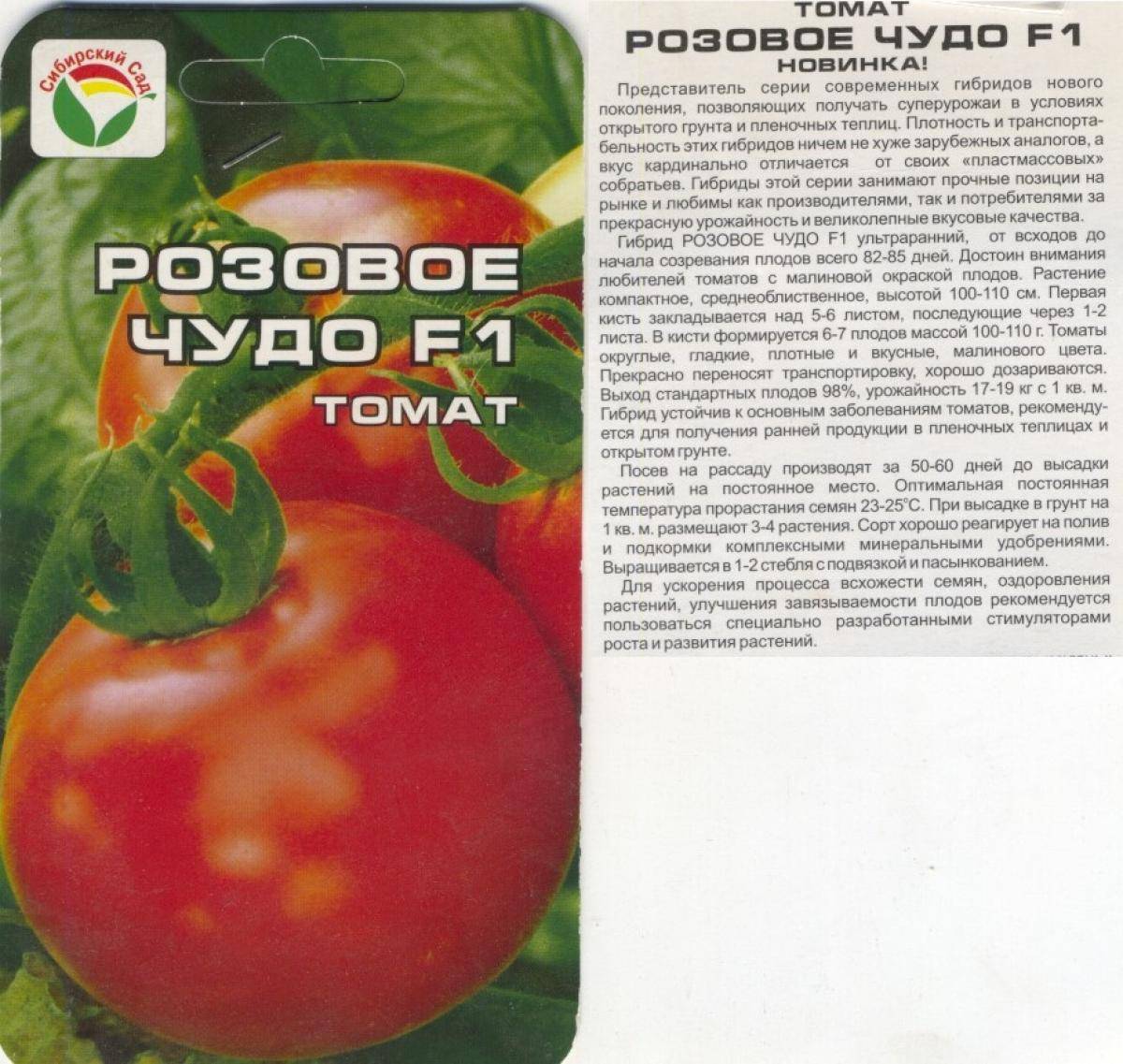 Лучшие сорта помидоров сибирской селекции на 2022 год